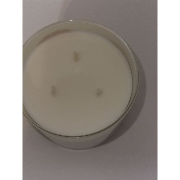 PINK PINEAPPLE SUNRISE Large 3 Wick Candle 14.5 oz Bath & Body Works 2023 Lot 2 - Picture 10 of 16